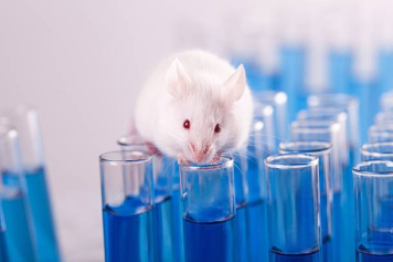 Un ratón sobre una probetas en un laboratorio 
