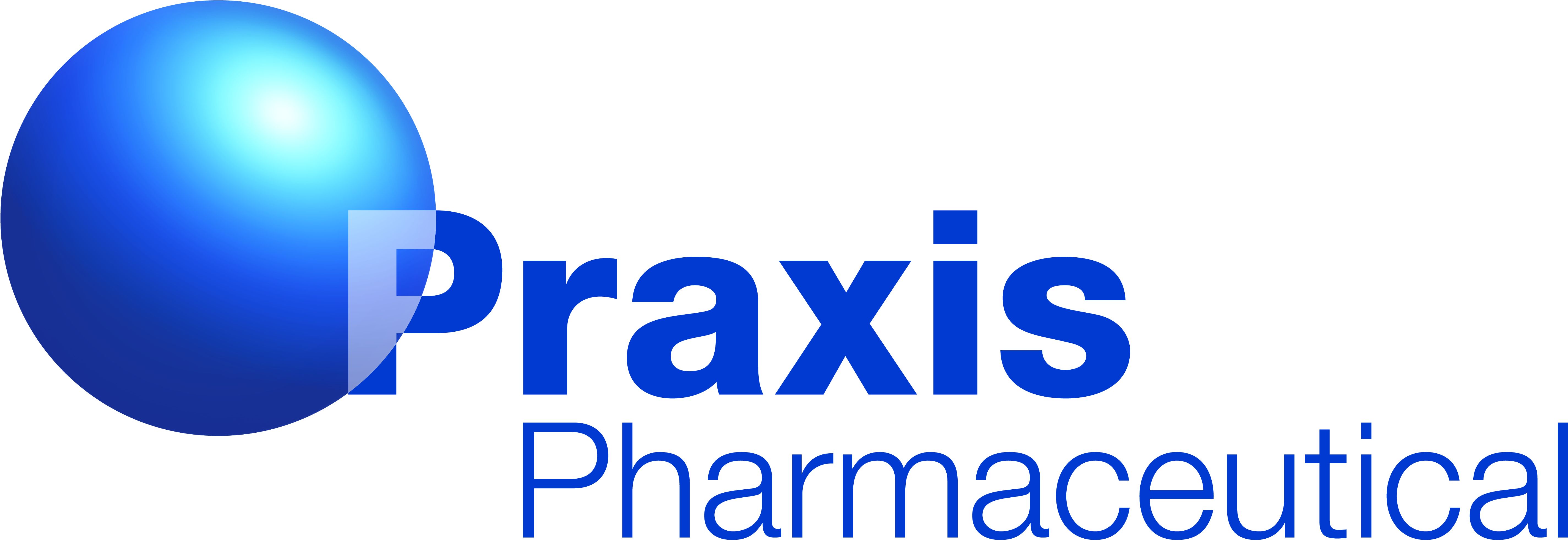 Gestor de proyectos Praxis - Álava