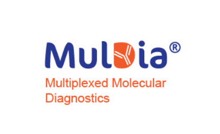 Logo MULDIA