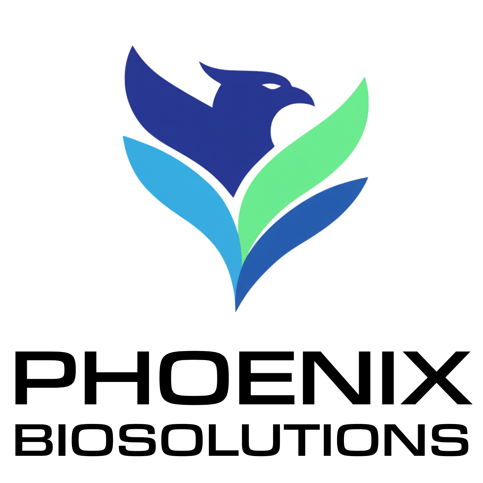 LOGO PHOENIX BIOSOLUTIONS