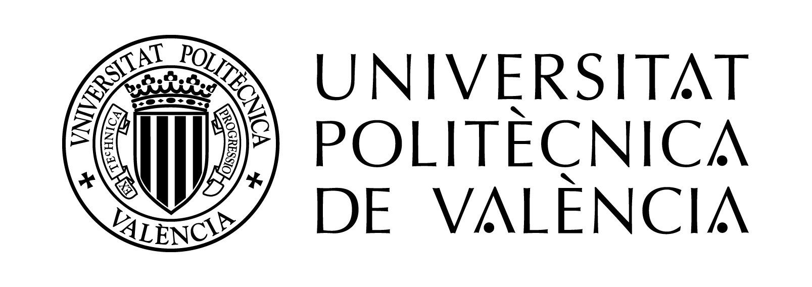 UNIVERSITAT POLITECNICA DE VALENCIA 