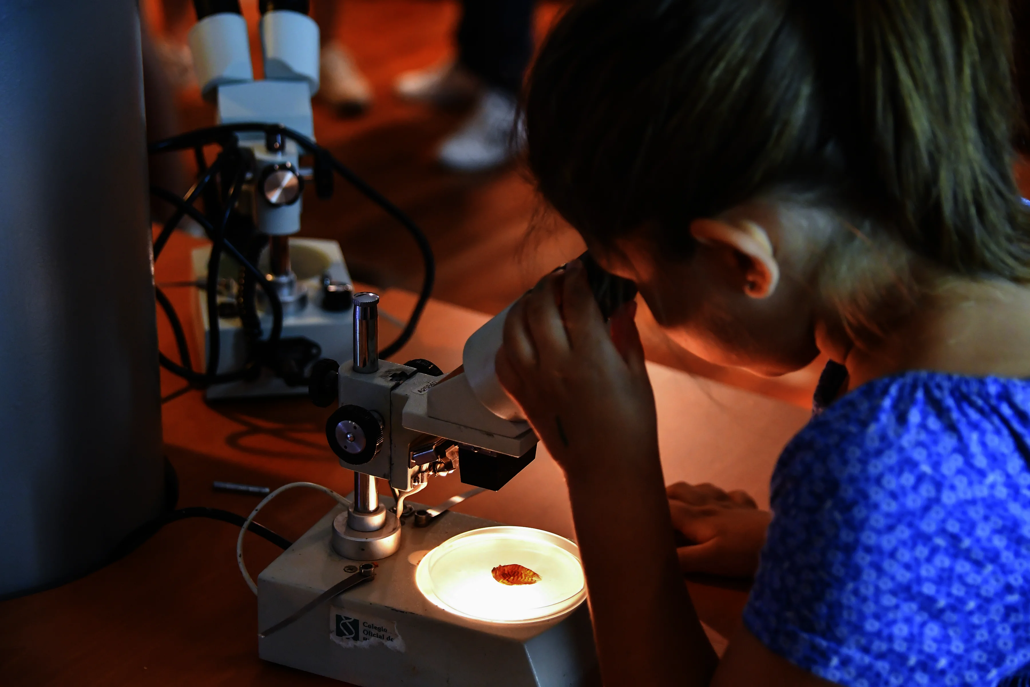microscopio niña
