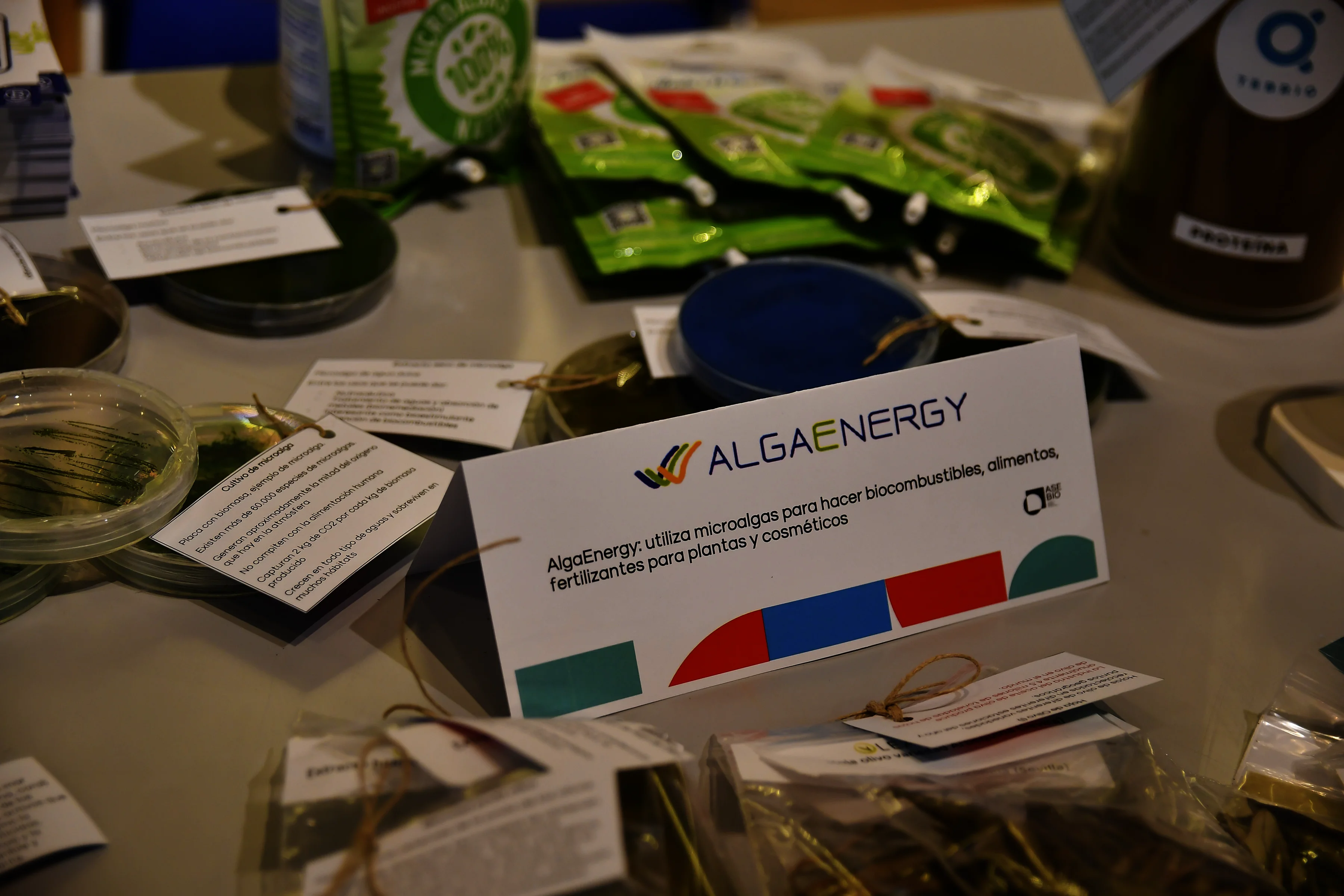 algaenergy