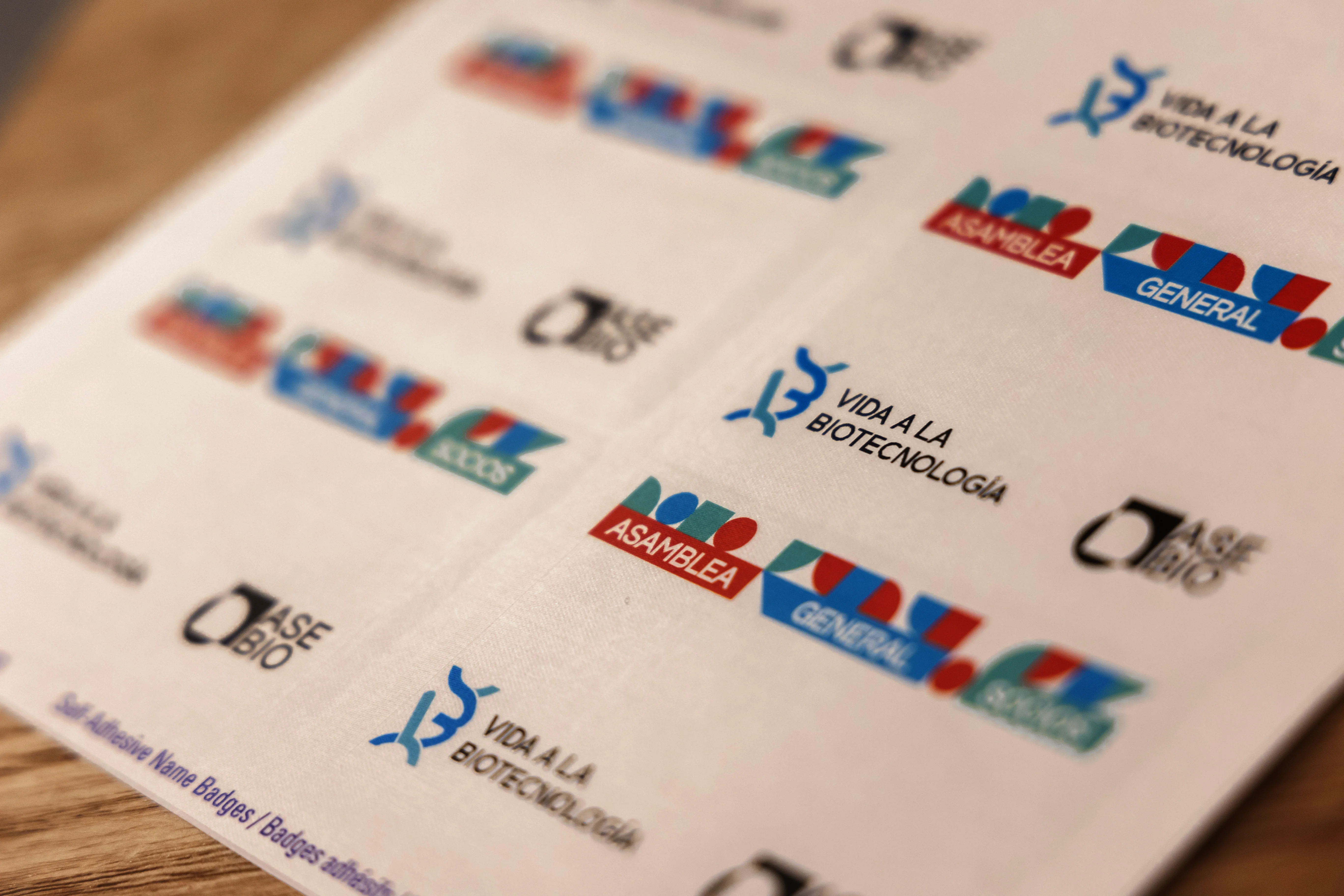 asamblea-galeria-3