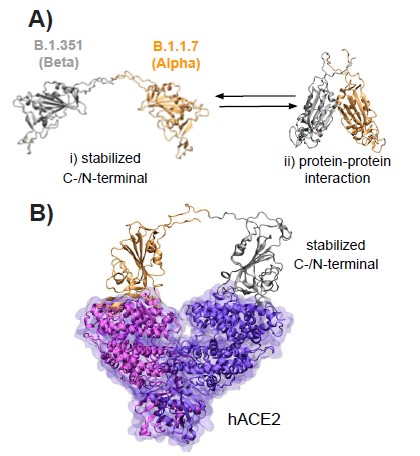 gráfico-Nostrum-AseBio