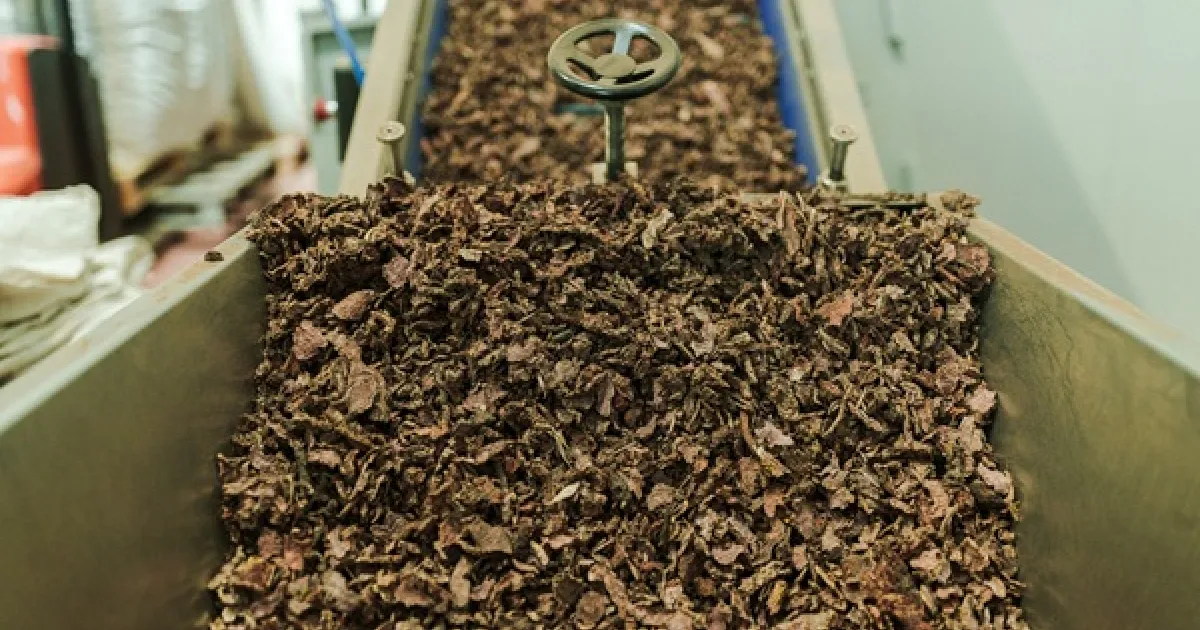 Natac transformed over 9,000 tons of biomass into high-value ...