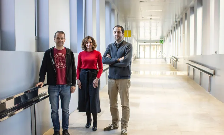 Iproteos, IBEC y VHIR trabajan juntos contra los tumores sólidos