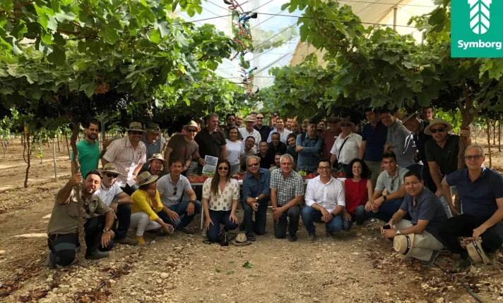 Productores de uva de mesa de 5 países visitan Murcia para conocer las variedades de ITUM