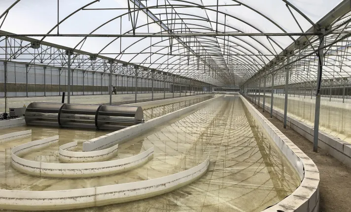 Biorizon Biotech anuncia la entrada a pleno funcionamiento de su nueva planta de producción de biomasa a partir de microalgas