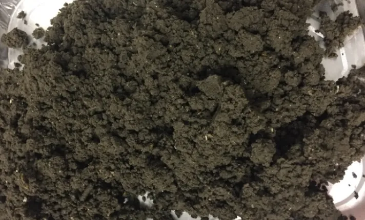 Nuevos bioproductos a partir de lodos de depuradora