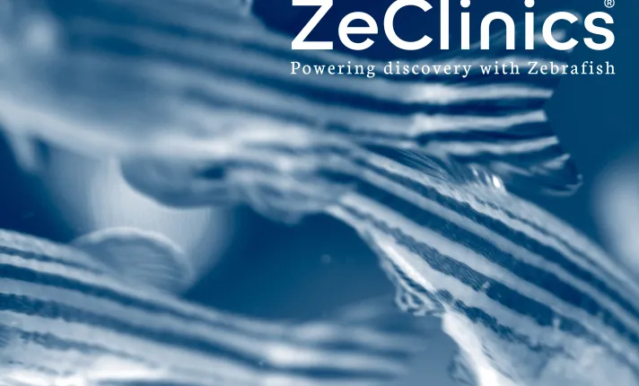 ZeClinics Oncologia