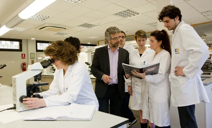 Ingeniería de glicosintasas para la producción de quito-oligosacáridos