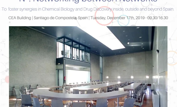 International Meeting: "N²: Networking between Networks"