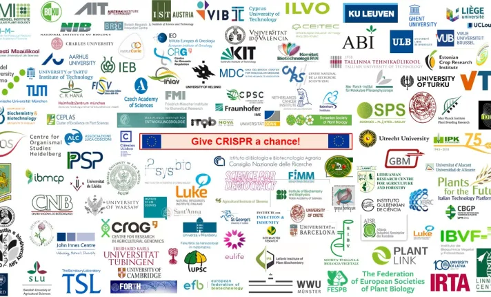 Give CRISPR a chance!” pide a los políticos de la UE que modifiquen la legislación sobre OMG