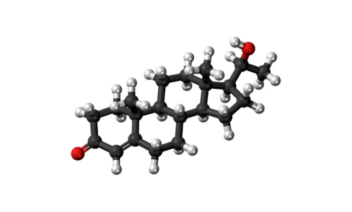 European Advance Biotech Grant Program