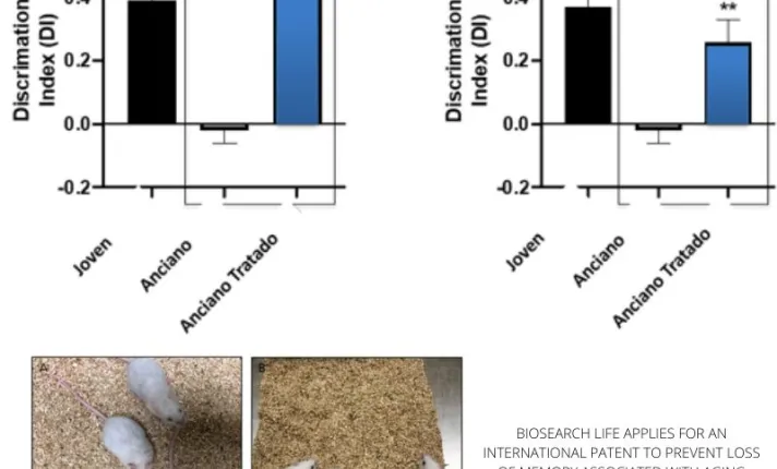 Biosearch Life solicita una patente internacional para evitar la pérdida de memoria asociada al envejecimiento