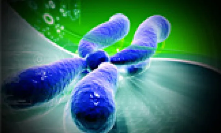 Propuestas de creación de consorcios