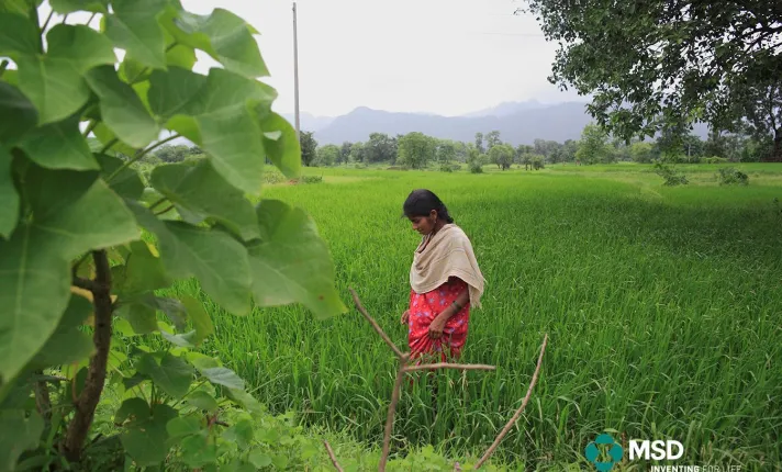 Informe Responsabilidad Corporativa de MSD