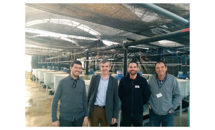 Mejora en la producción de salmón atlántico a través de compuestos bioactivos procedentes de la biomasa del olivo