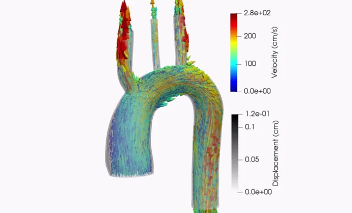 Instantánea de la simulación de interacción fluido-estructura realizada