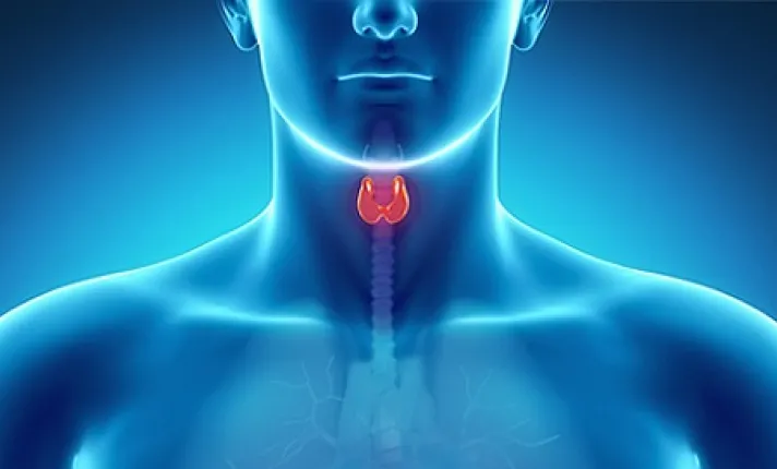 BCN HEALTH publica un estudio evaluando la situación epidemiológica y el manejo de los trastornos de las glándulas paratiroides en España 