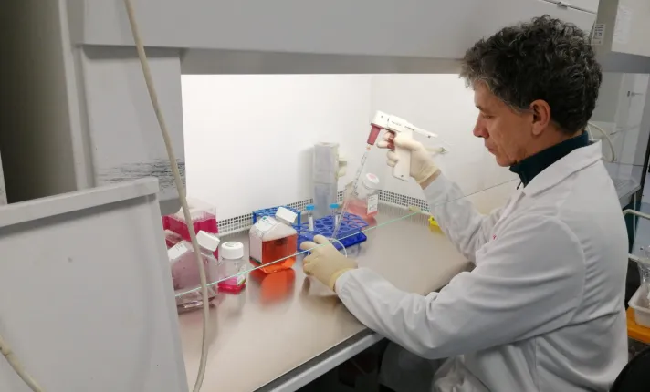 highlight therapeutics