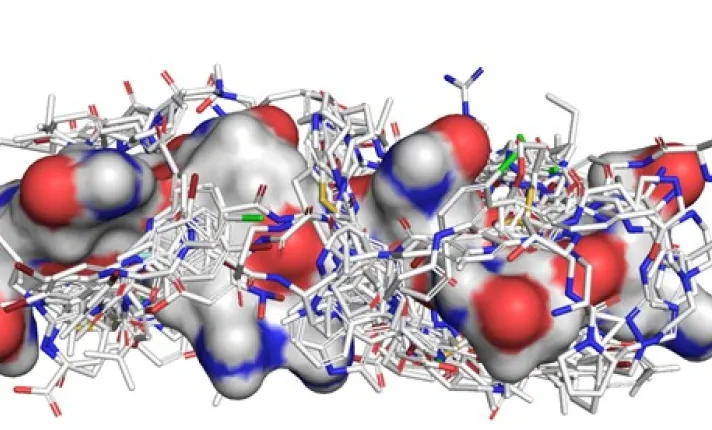 Imagen: Chemotargets.