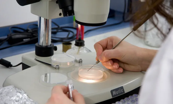 nutricion personalizada