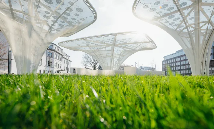 MErck sostenibilidad comité