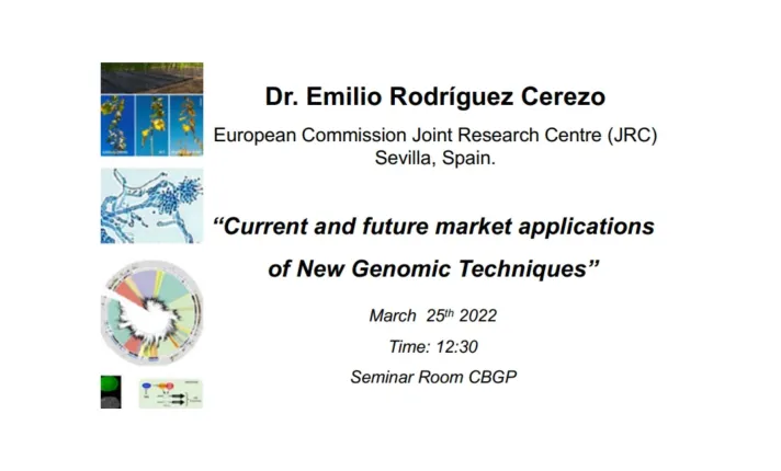 seminario