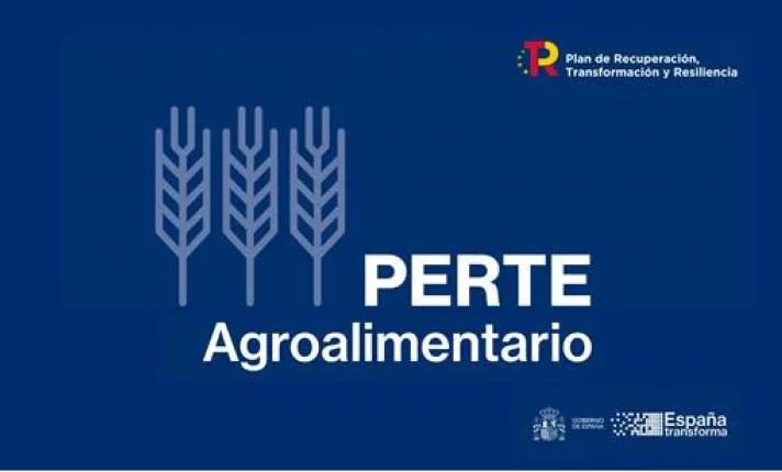 perte