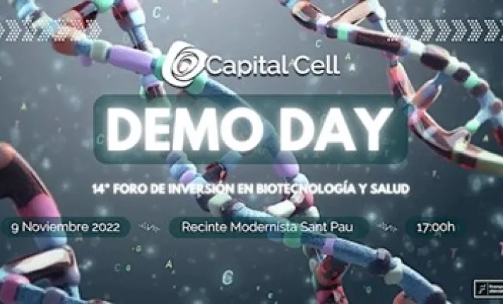 demo day