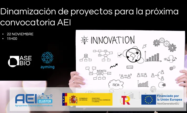 Sesión informativa próxima convocatoria del Programa de Apoyo a las Agrupaciones Empresariales Innovadoras (AEI)