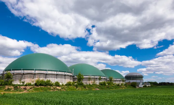 Ainia-AseBio-Biotecnologia-Plantas