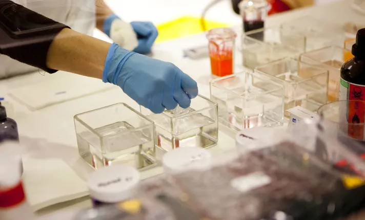 Junta-AseBio-Biotecnología