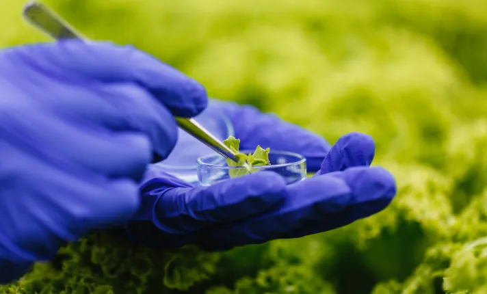 Biotecnología_AseBio