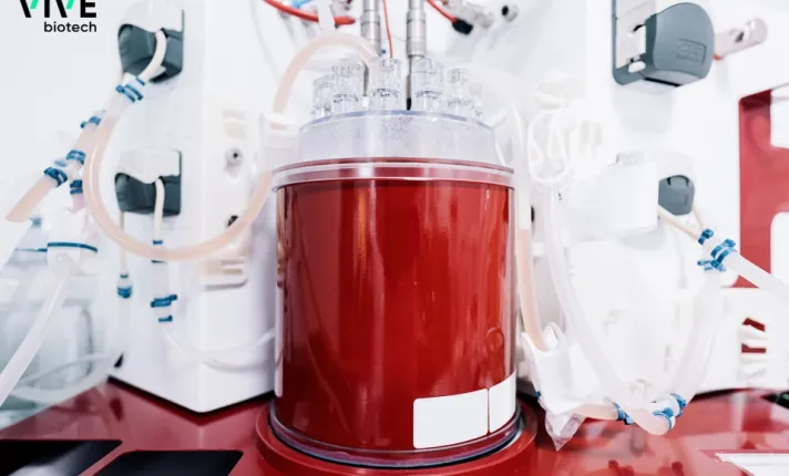 Biorreactores empleados en VIVEbiotech