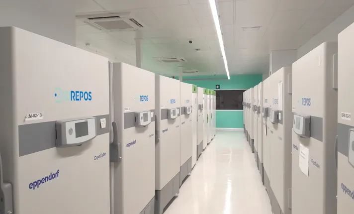 BIOREPOS_instalaciones_biotecnología