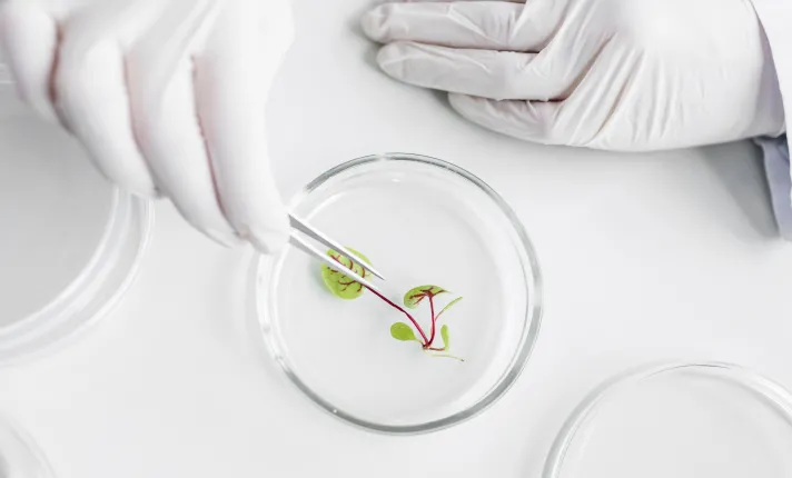 Biotecnología_edición_genética_plantas