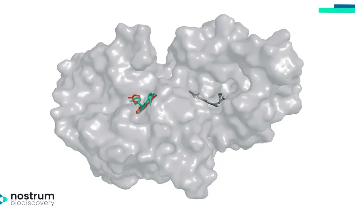 Nos complace presentar GeoDirDock (GDD), un nuevo uevo modelo de difusión para acoplamiento dirigido.