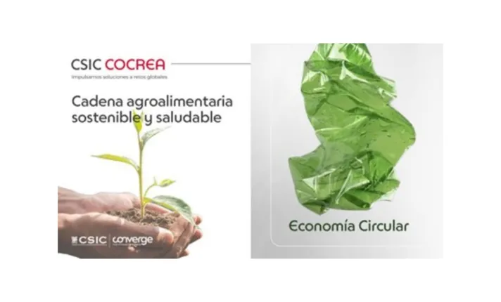 Cartel del Webinar informativo del programa CSIC COCREA