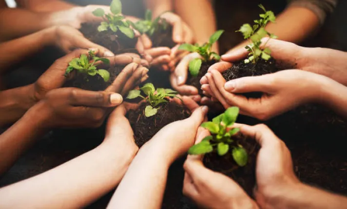 Unas manos sostienen en sus palmas tierra y plantas 