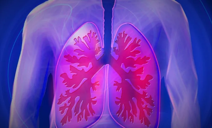 Fotos de una imagen de dos pulmones humanos 
