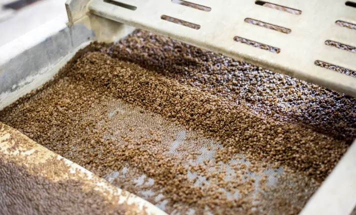 Biomasa biotecnología AseBio