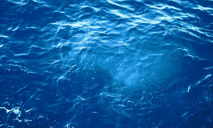 Biotecnología azul AseBio