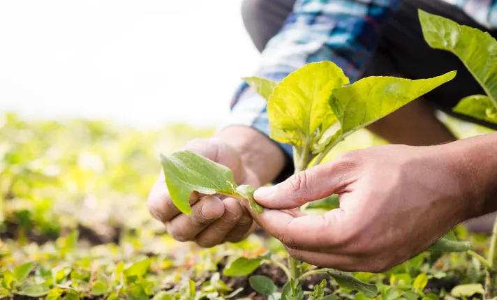 Biotecnología medioambiente AseBio