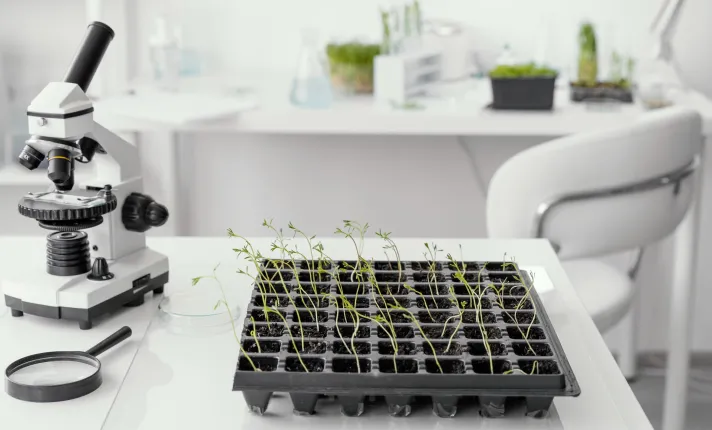 NGT biotecnología AseBio