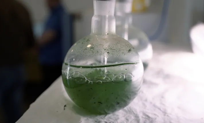 Biorizon Biotech líder mundial en soluciones con tecnología Trietech©, basadas en microalgas