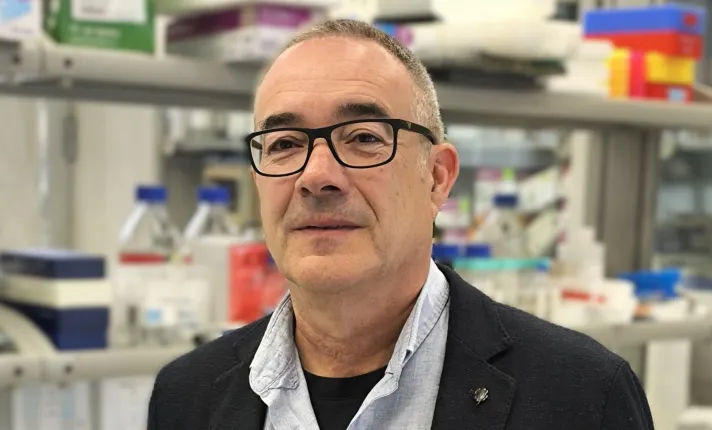 Ángel Nadal de IDiBE