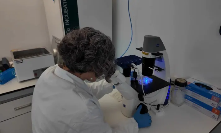 Laboratorio de Viva in Vitro